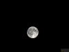 DSC02034
