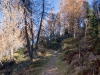 DSC03197