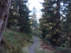 DSC03198