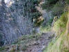 DSC03200
