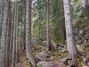 DSC07363
