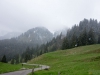 DSC07370