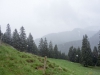 DSC07372