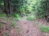 DSC07655