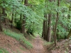 DSC07659