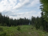 DSC07695