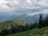DSC07786