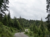 DSC08004