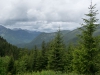 DSC08007