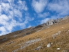 DSC01631