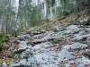 DSC02318