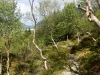 img-020