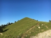 img-004