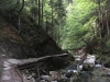 img-032