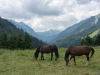 img-003