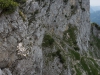 img-018