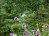 img-025