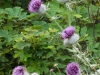 img-026