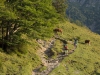 img-057
