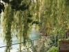 img-027