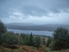 img-001