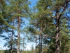 dsc02650