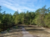 dsc02665