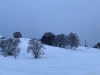 unbenannt-3426