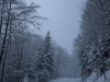 unbenannt-3782
