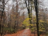 unbenannt-12246