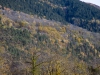 unbenannt-12268