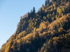 unbenannt-12285