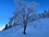 unbenannt-12398