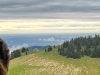 unbenannt-15553