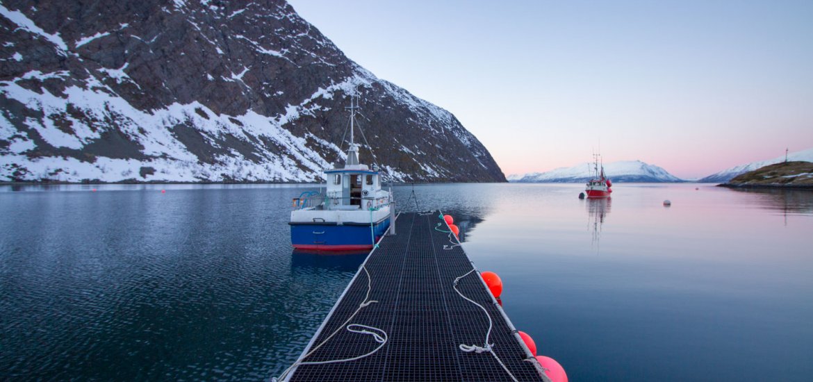 20160402_Lyngen-44