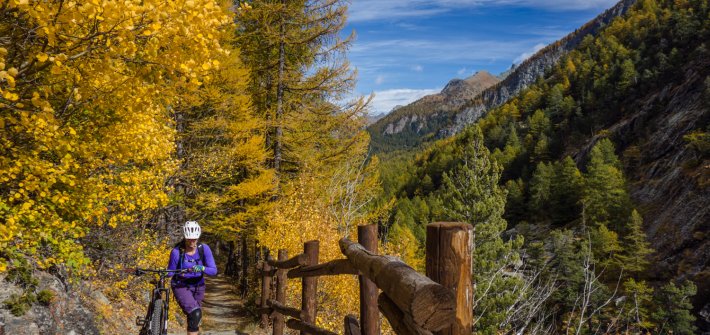 20171002_lilazdessous DSC05932