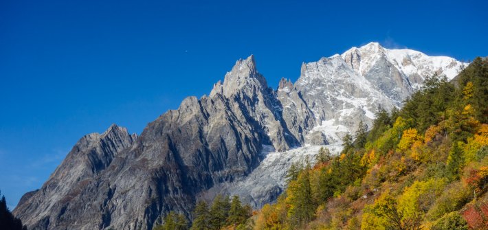 20171004_valferret DSC06029