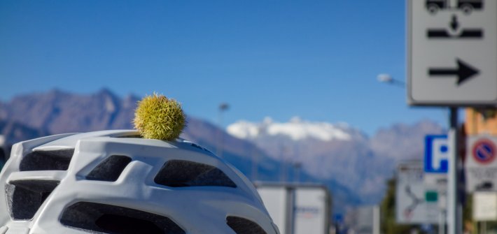 20171007_zumbatrail DSC06481