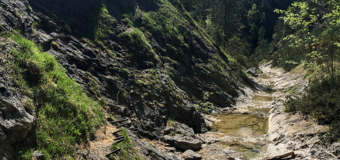 20180512 Staffelgraben img_5461