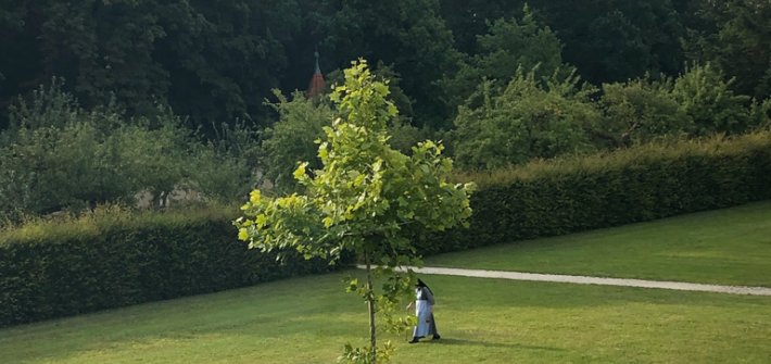 20190717 Kloster Holzen img_9818