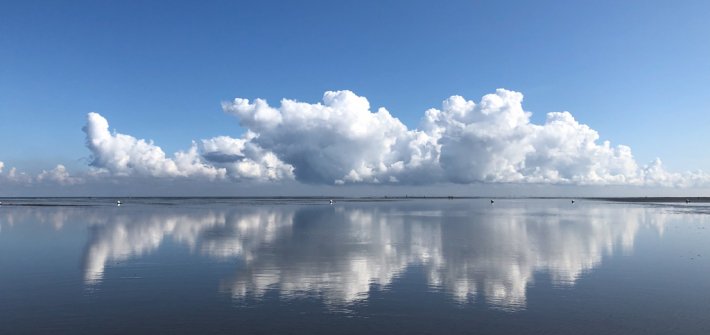 img_0353