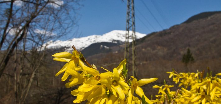 IMG_3477