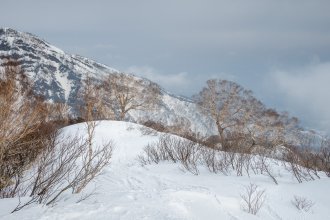 20200225 Myoko untitled-12
