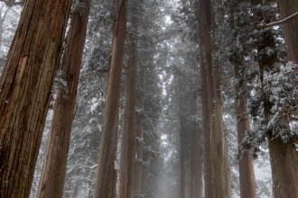 20200226 NozawaOnsen untitled-055