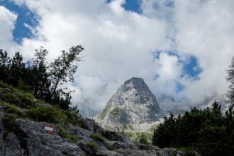 20200712 Drachenkopf unbenannt-1352