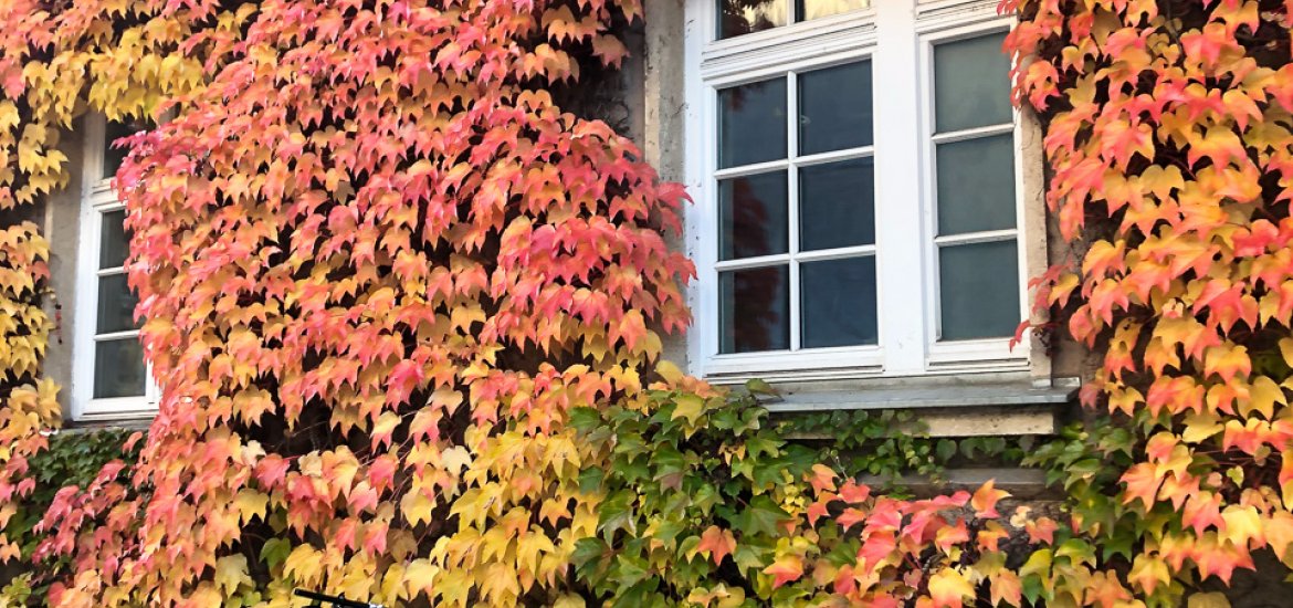 20201012 Herbst unbenannt-2244