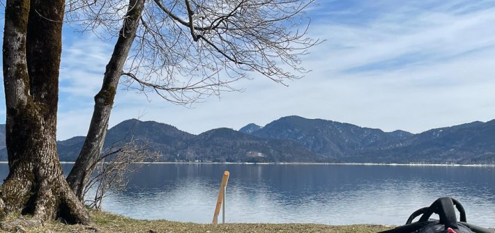 20210328 WingDingDing unbenannt-3832