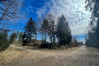 20210329 Graveln Perlacher Forst unbenannt-3836