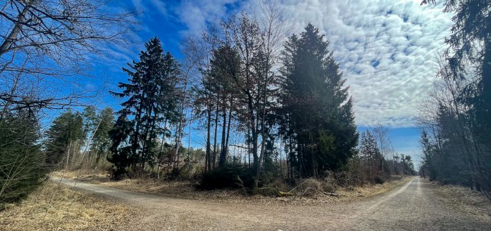 20210329 Graveln Perlacher Forst unbenannt-3836
