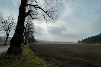 20210402 Graveln Schäftlarn Variante unbenannt-3854